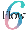 FLOW6